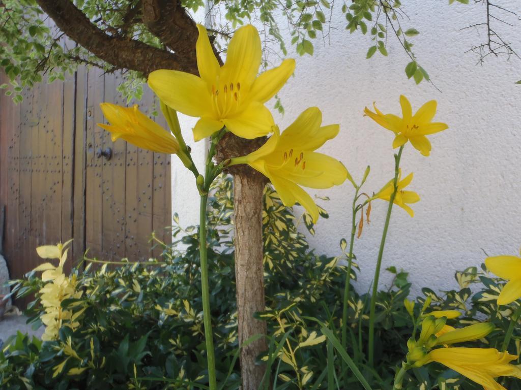 Casa vacanze Gites-clairiere-ardenne *