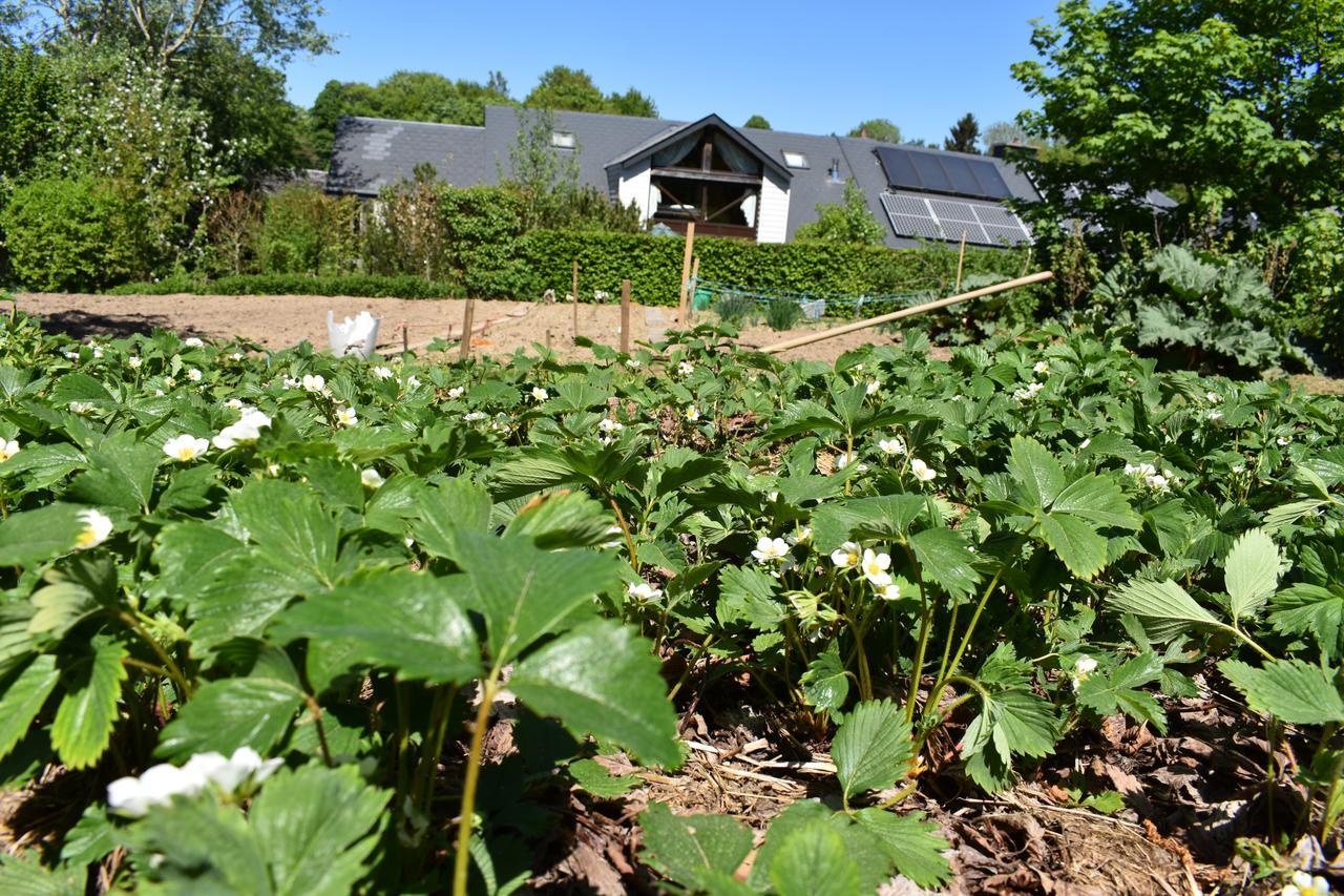 Gites-clairiere-ardenne Louftémont