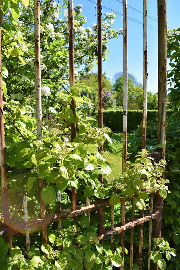 Vakantiehuis Gites-clairiere-ardenne Louftémont